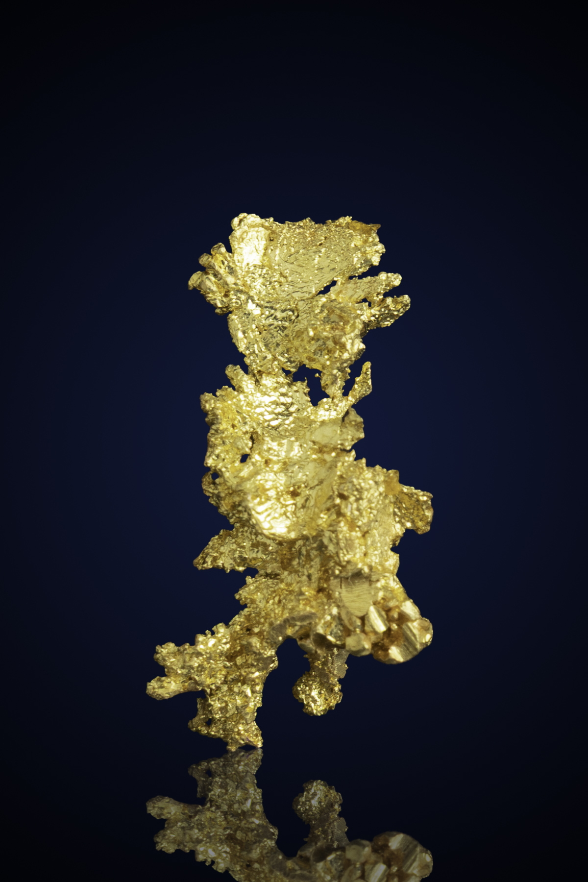 (image for) Intricate, Branching Natural Gold Specimen - Eagle's Nest Gold Mine, CA - 4.83 grams